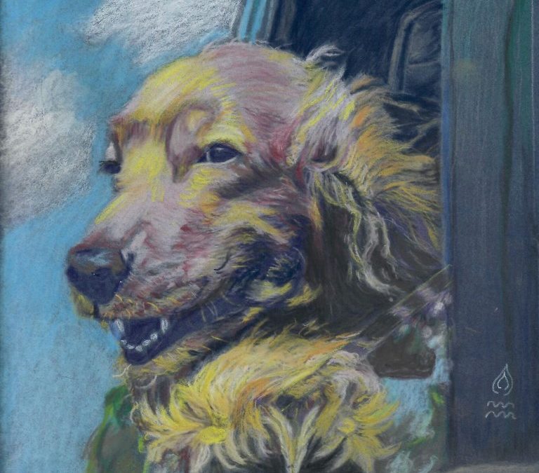 Painting of a happy looking golden retriever dog who's head is hanging out the car window enjoying the wind in its face