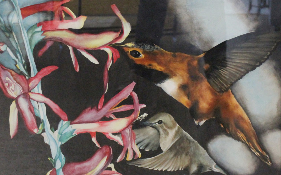 painting of hummingbirds getting nectar from red honeysuckle blossoms