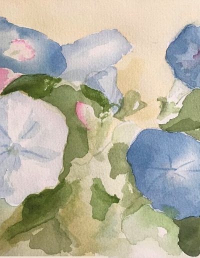 water color painting of blue and white morning glories