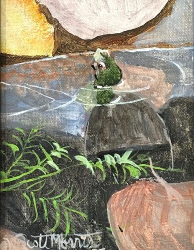 painting of a turtle sticking it's head above water near the edge. Water is transparent so you can see its body, rocks and greenery below the surface of the water