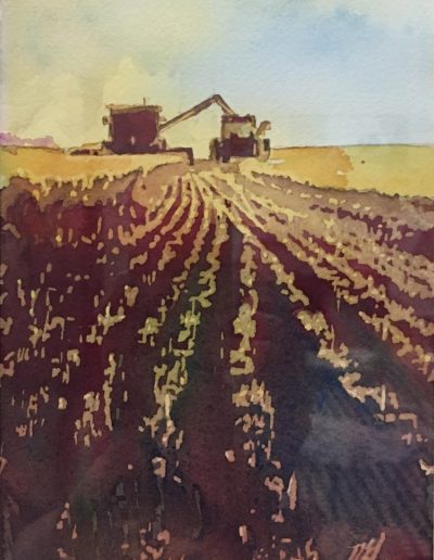 water color image of a combine harvester working through a field and offloading into a grain wagon pulled by a tractor. The colors are earthy browns and golds and the perspective is as if the viewer is standing at the end of the field watching the vehicles coming toward them.