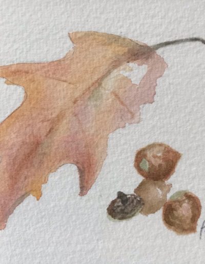 simple watercolor image of an oak leaf beside3 acorns. The challenge was monochromatic and only tones of umber are used