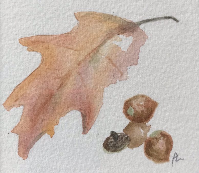 simple watercolor image of an oak leaf beside3 acorns. The challenge was monochromatic and only tones of umber are used