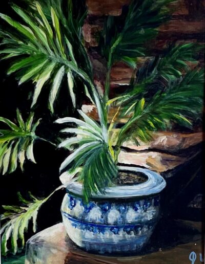 Large green plant in a blue and white pot. The sun shines brightly on parts of the leaves and table surface creating lights and darks