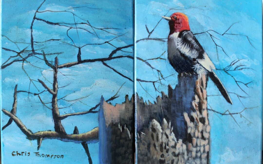 painting of a red headed woodpecker perched on the peak of a broken tree. It is looking toward the distance and is surrounded by blue sky with white whispy clouds.