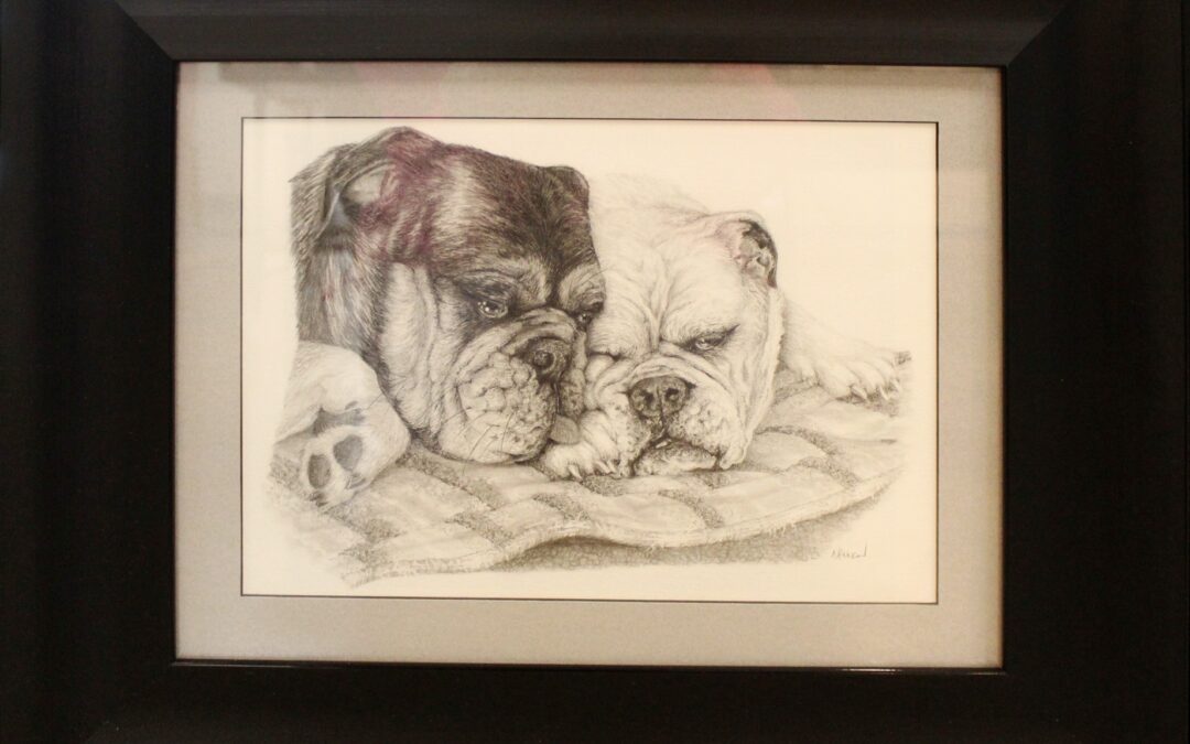 graphite drawing of two dogs comfortably snuggling together. One is dark and the other light like yin and yang